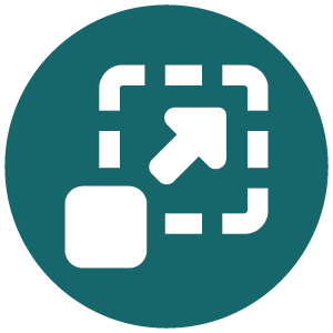 Icon 2